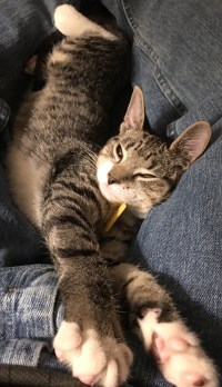 FullSizeRender (27).jpg