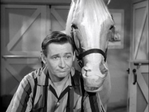 Mister Ed.jpg